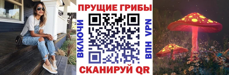 Псилоцибиновые грибы Psilocybe  ссылка на мегу зеркало  Серов 